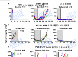 新策略！肺癌EGFR基因L858R突变只用爱必妥，完全缓解